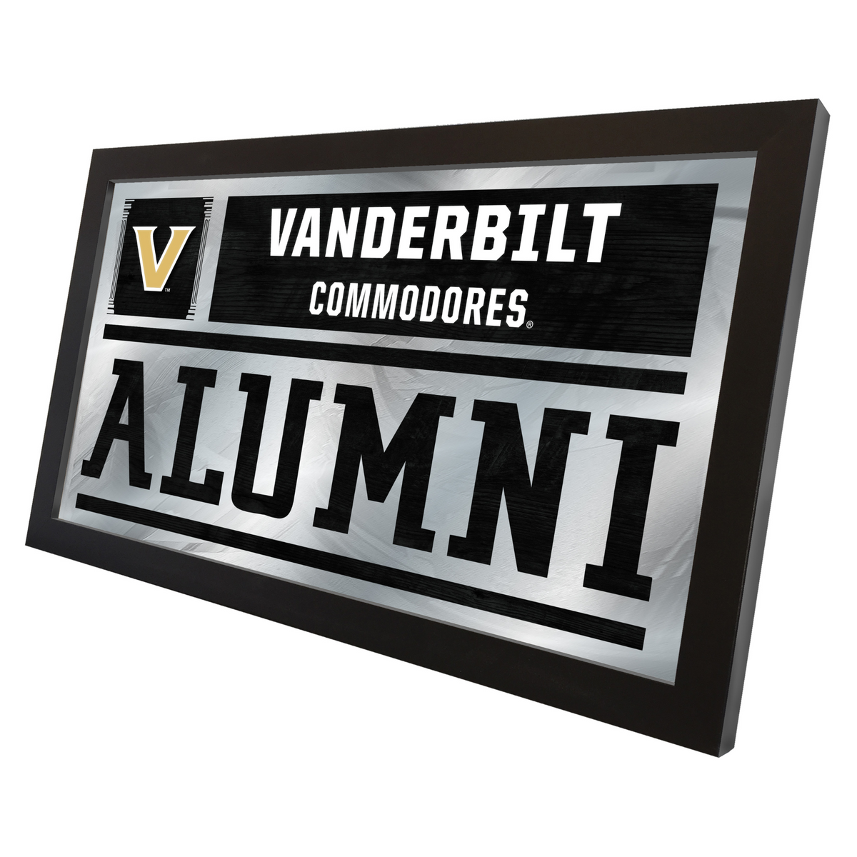 Vanderbilt University Alumni Mirror