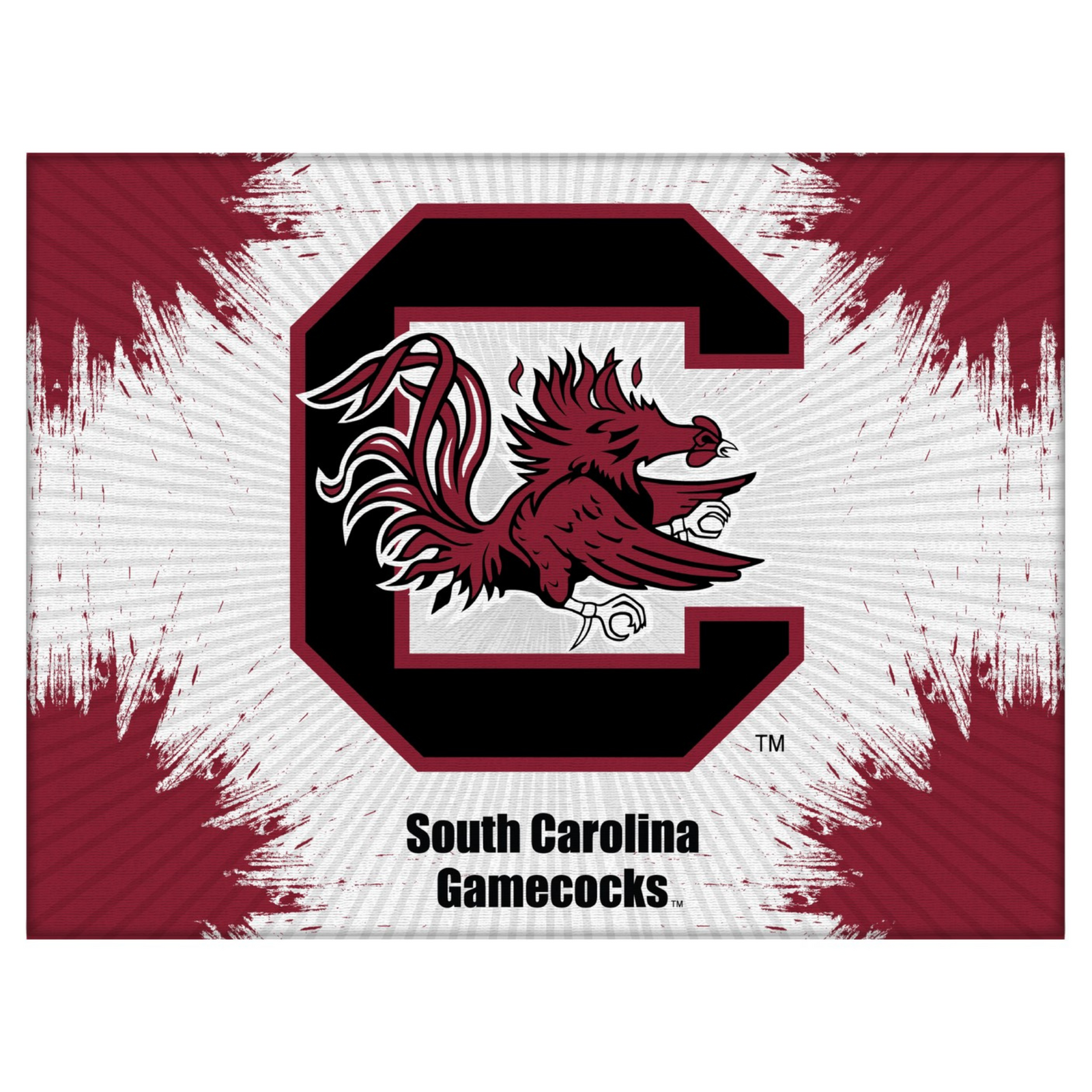 University of South Carolina Logo Spirit Canvas (24” x 32”)