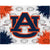 Auburn University Logo Spirit Canvas