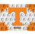 University of Tennessee Logo Spirit Canvas (15” x 20”)