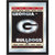 University of Georgia Spirit Mirror